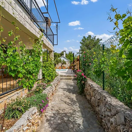 Excellent Villa! Private Forest And Pool,near Sea * Dograde