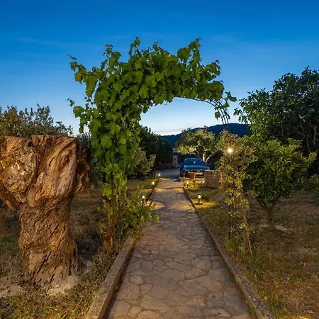 Excellent Villa! Private Forest And Pool,near Sea *
